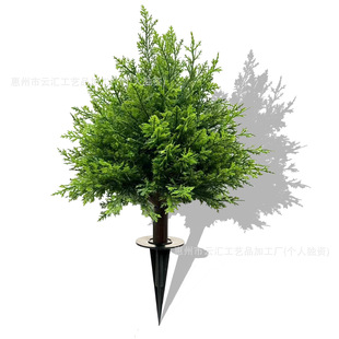 녅R�羳 ��ɫ�ɰصز�� ͥԺ�Tǰ�Ҿ��b� ����Gֲ