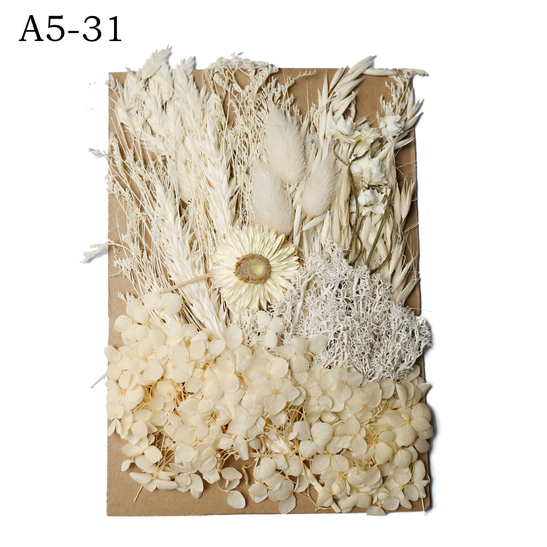 [Paquete de material de estampado A5] Flor seca flor eterna marco de fotos paquete de material de estampado DIY flor aromaterapia vela flor seca