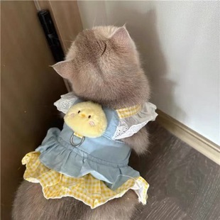 ��ݮ��؈���·�С�S�u�����B��ȹţ���ٽz����������̩�����ر���