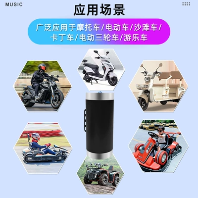 Car speaker/subwoofer, Pipe Audio, Electric Vehicle