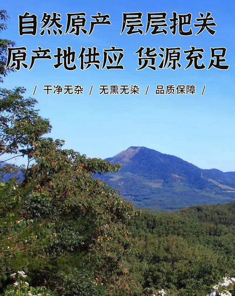 Ren Dong Teng (Lonicera japonica Stem) — Dried Japanese Honeysuckle Vine, 500g overview