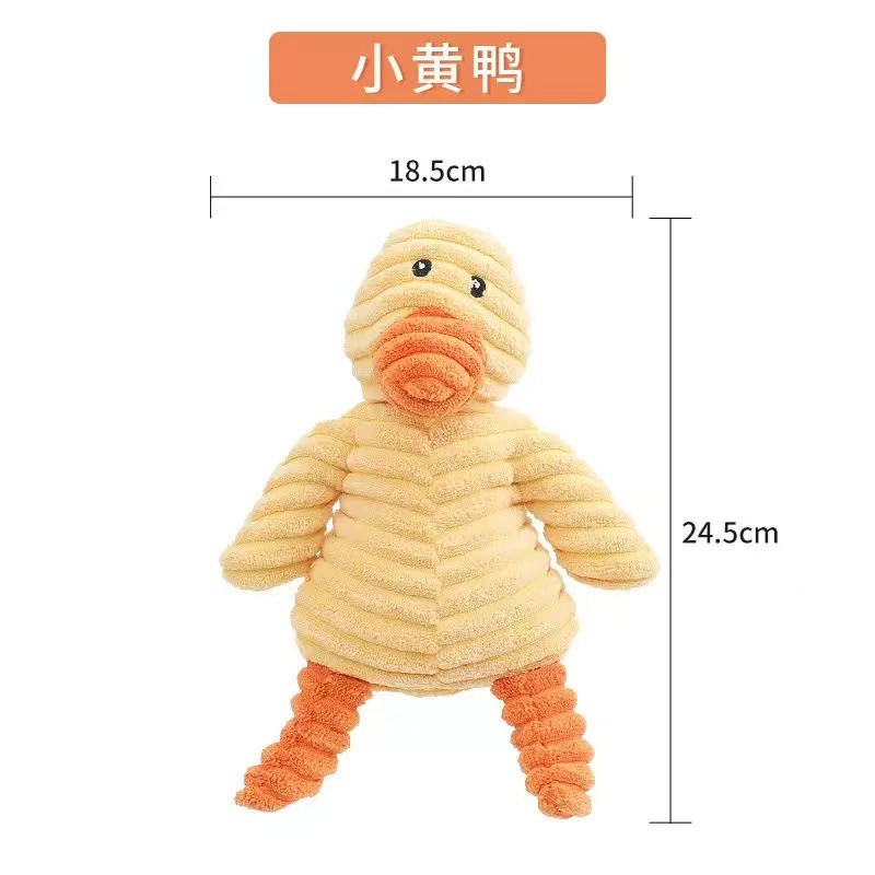 오렌지 오리 11종