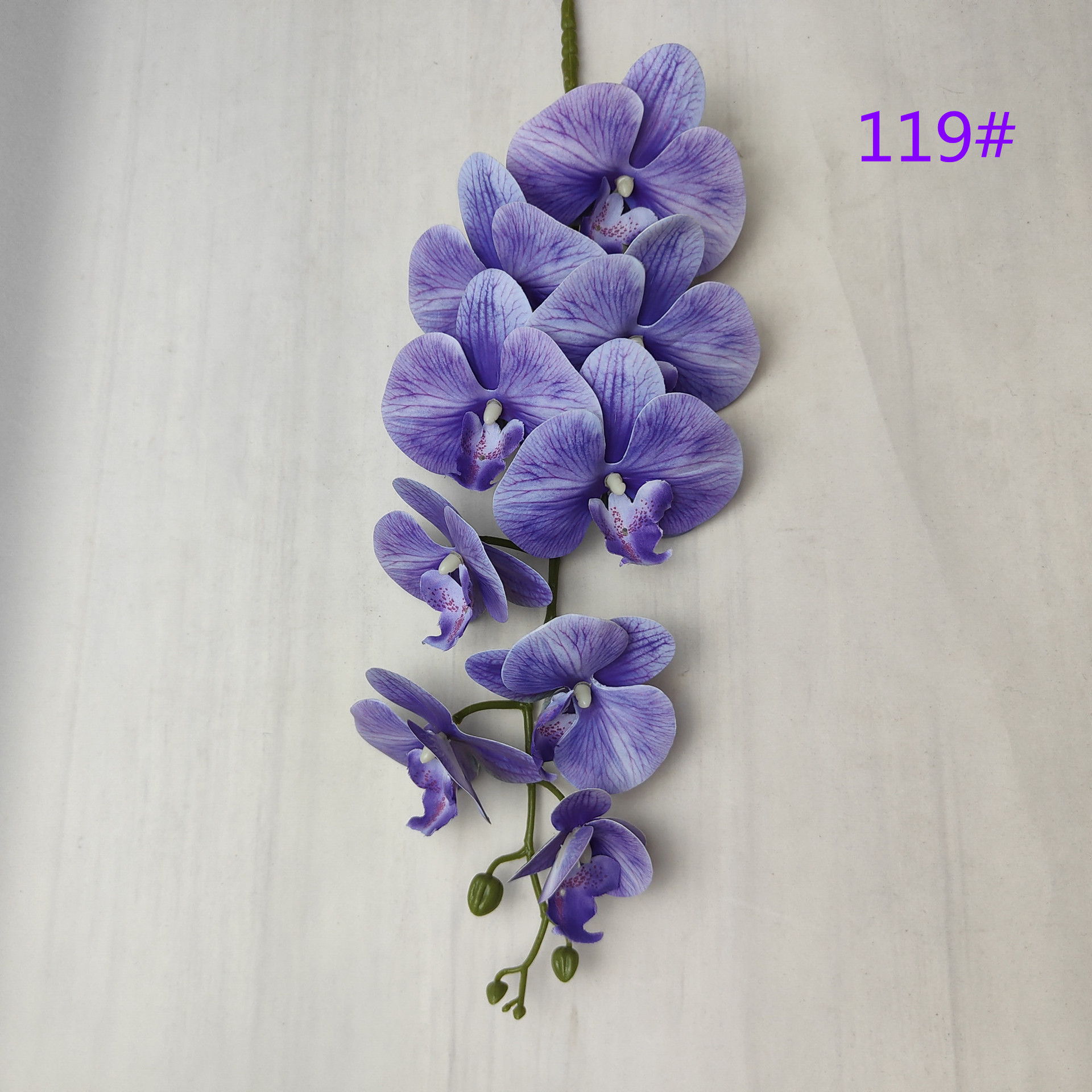 IMG20230509161725_副本