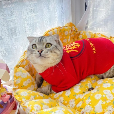 猫咪新年衣服秋冬装过年狗宠物加绒保暖喜庆红色冬装工厂一件批发