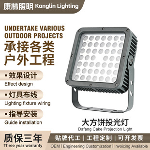 New Square Floodlight 48W Outdoor Tree Lighting Garden Landscape Bridge Building Spotlight Colorful Floodlight