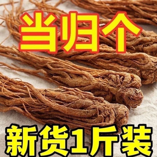 ���w�� ếh��ȫ���w����500�˸��C�� �����h���S��
