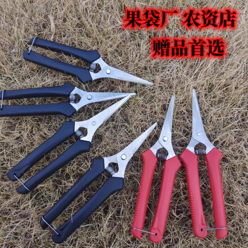 不锈钢稀果剪花草剪水果枝剪刀枝剪果枝剪刀塑柄园艺剪刀树枝剪刀