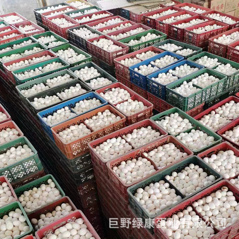 微信图片_202209011424285