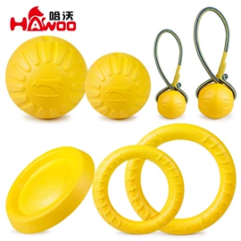 猫猫玩具;狗狗食具;狗狗玩具