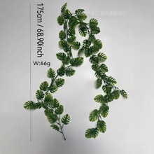 ���滨�ٗl�b�������픠������ˮ��늾��p�@�ڳ�����ڒ�Gֲ