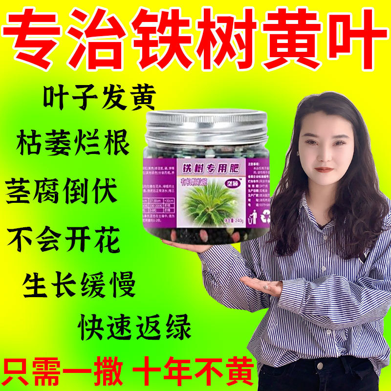 632159f0-c250-45ff-9cdb-d45cabc55762.jpe