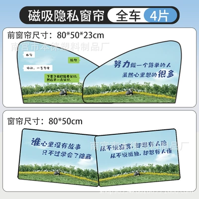 Car toilet special curing Kempinq və səyahət - 4-pieces-of-privacy-curtains-on-the-front-and-rear-sides