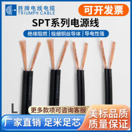胜牌正标SPT-2 16AWG双并线无氧裸铜线1.31平方二插电器电源线