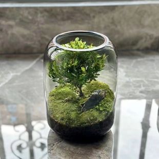 �S��ֱ�����Bƿ����֮�䄓������΢���^������ƿDIY�Gֲ�쾰�[��