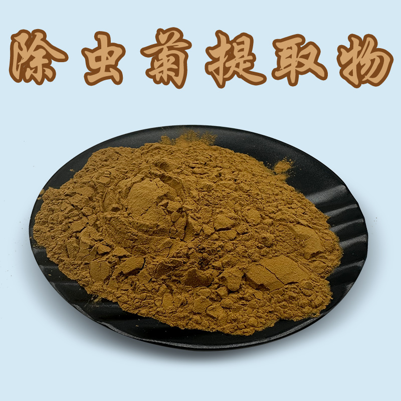 除虫菊提取物 50:1高比例除虫菊粉 含除虫菊酯 植物除虫菊提取粉