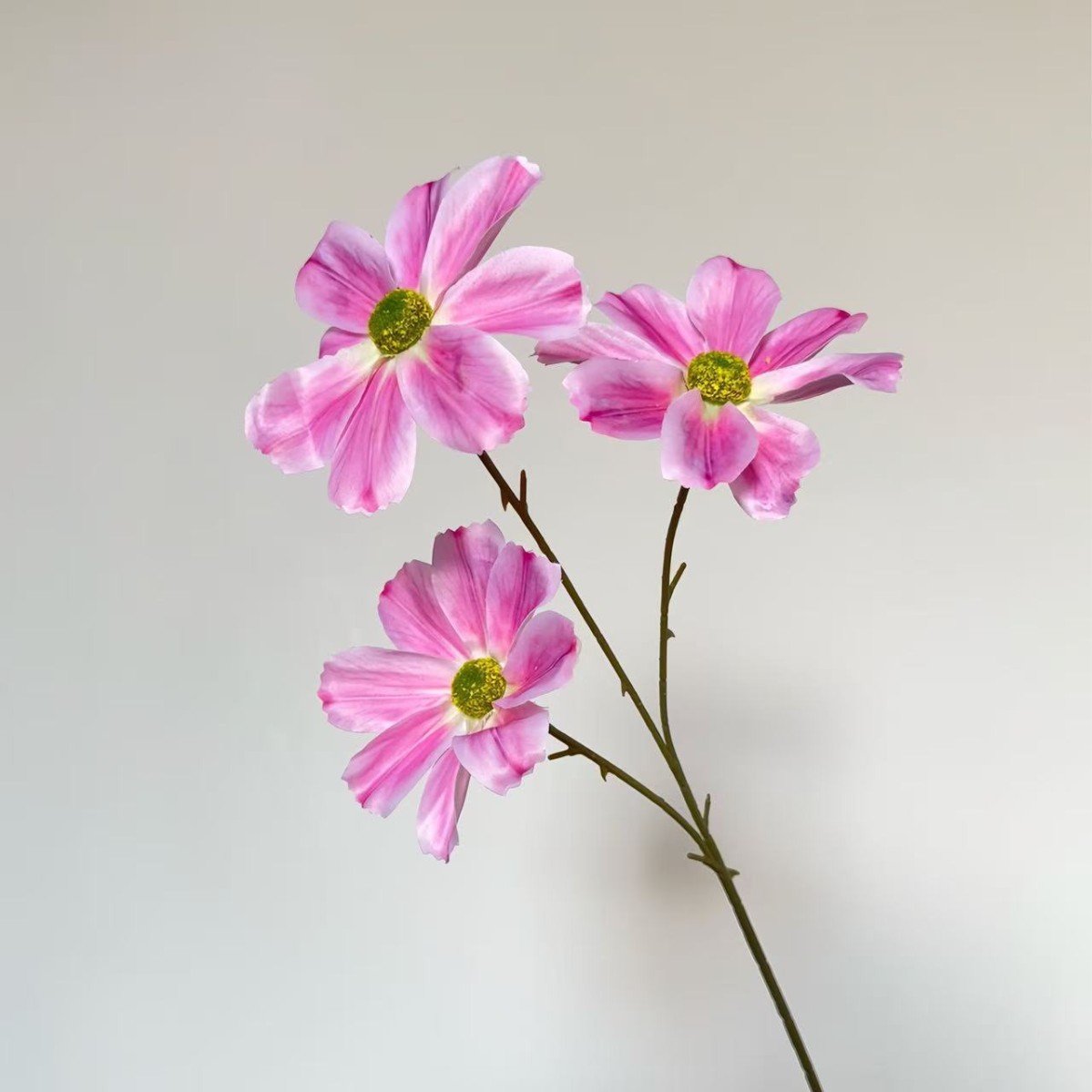 Flores de Gesang - Rosa