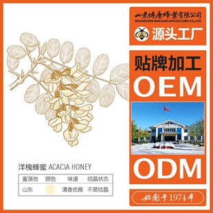 ������I500g12�N���۶���OEM��������