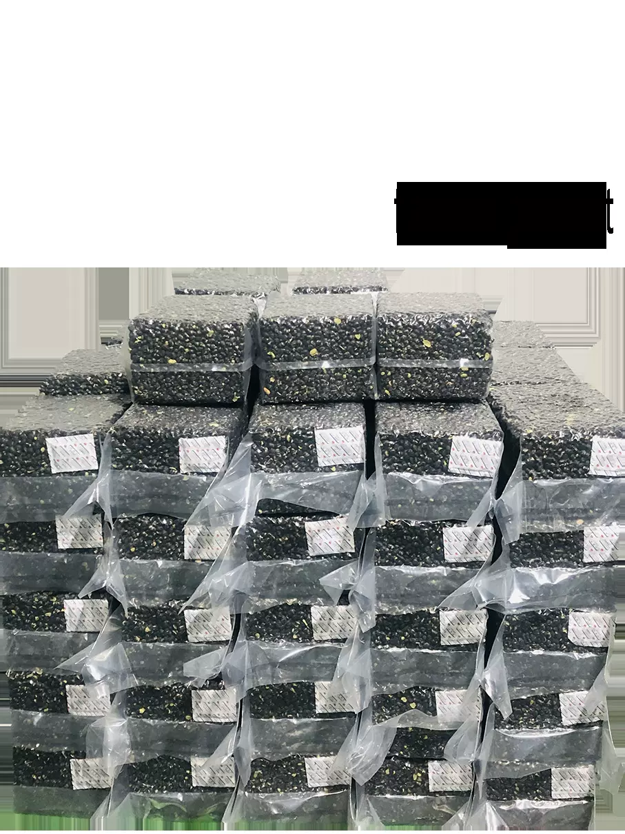 烘烤大豆 黑豆 膨化黑豆 黑肾豆