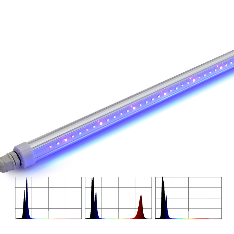 H4ccf6a7ac2a5478b85744f6f1daab