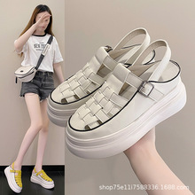 UeЬŮ⴩2024ļ¿ٴɸ׃ŮЬ