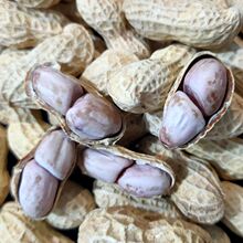 �S������ˮ��ו��̸��������㎧���컨��500g-2500g���Sһ�����l