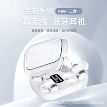 ���¸�����˫��̥��������������ʳ�������͸������Ϸ�˶�