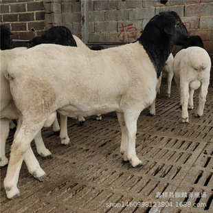 �Ų��d������� Сβ���^̥���������� �F؛���^�s����N����r��