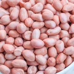 新鲜花生米新货散装粉白皮新鲜粉红花生仁商用家用白沙花生仁