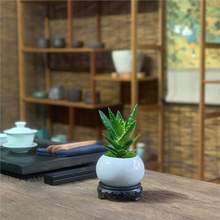 �����J�C�Gֲ��ҹ���J�C���Զ���ֲ�ﻨ���J�C�ļ���������С�Gֲ