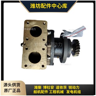 ��ˮ��1000947338�H�񲩶Ű�6M26�����l�әC12M26����ԭ�S��Ʒ
