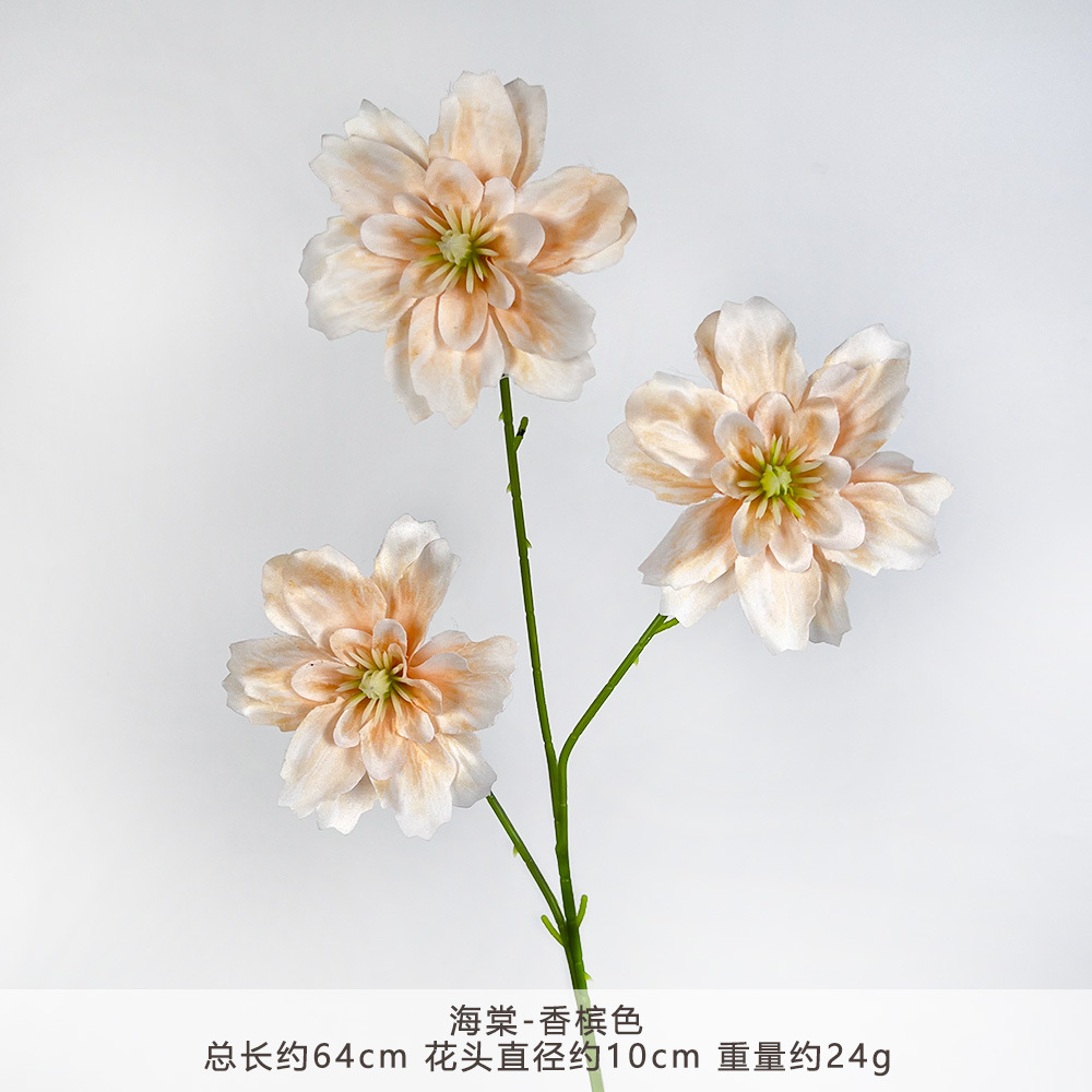 HT-海棠-香槟