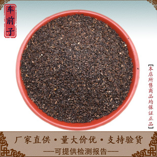 ܇ǰ����ș��500g�����ٷ���Ş��Ұ��܇ǰ�ѷ���ˮ��