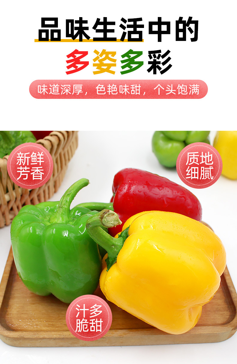 现摘生吃不辣甜椒五彩椒斤新鲜圆椒红椒黄椒绿椒辣椒水果椒-阿里巴巴