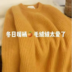 2025年秋冬季新款韩系纯色毛衣女圆领套头显瘦软糯温柔风针织上衣