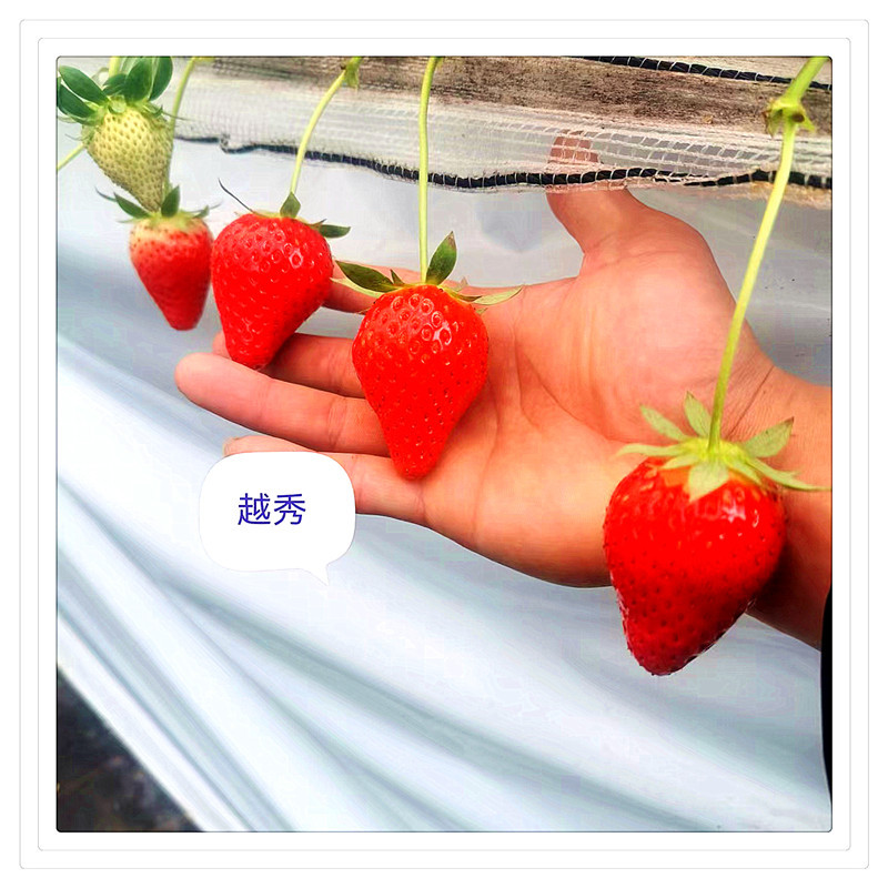 76bd525daab71209fda0c0bc598c1b