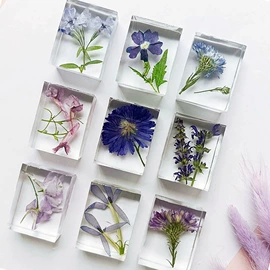 标本;创意礼品套装;树脂工艺品