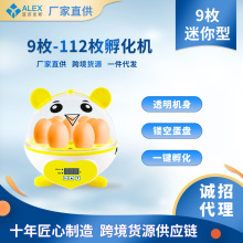 跨境货源小型家用孵化机全自动智能小鸡鸭鹅鹌鹑孵化器种蛋孵蛋器