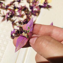 ǧ���Q�������L�ۼ����h������DIY�ֹ��������h����z��ˮ