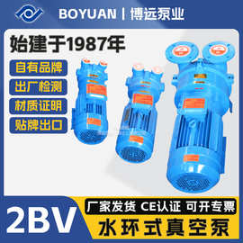博远泵业2BV水环真空泵工业抽气泵33mba高真空机械密封耐腐真空泵