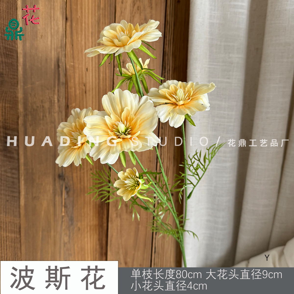 Hoa Ba Tư Y màu vàng