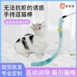 逗猫棒长款毛毛虫超萌大眼毛绒带铃铛耐咬毛绒玩具手持逗猫