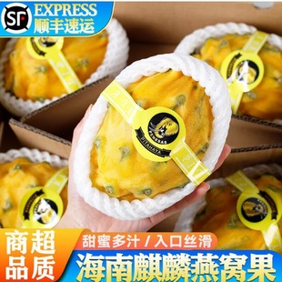 �V�����lֱ�l����S������������C�������������ͶY�߶�ˮ��