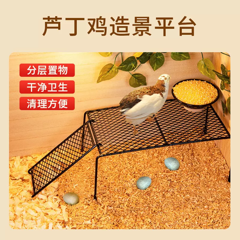 芦丁鸡窝造景仓鼠玩具平台喂食台网格架子铁桌子卢丁鸡饲养用品