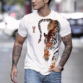 女式T恤;女式卫衣;连衣裙