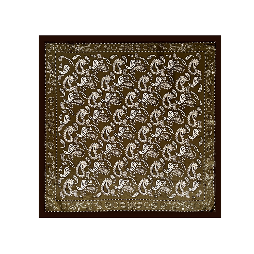 Women's Elegant Simple Style Geometric Solid Color Polyester Silk Scarf display picture 6
