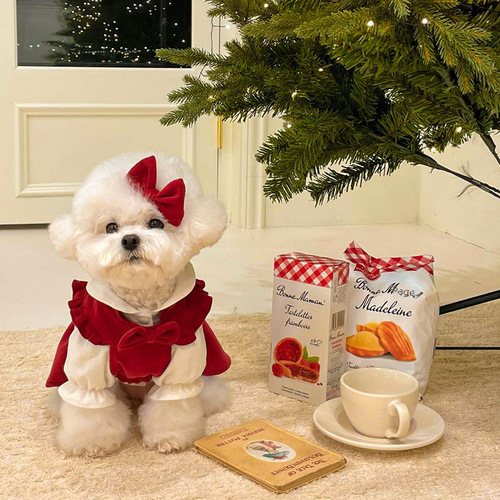 Puppy Princess Dress Autumn and Winter Teddy Bichon Pomeranian Yorkshire Small and Medium Puppy Pet Cat Clothes