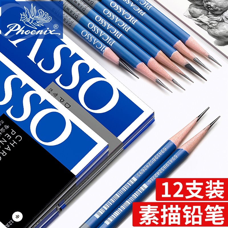 毕加索素描铅笔炭笔绘画凤凰初学者美术2B特软笔速写绘图5B7B12B