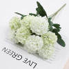 PS-2020-29 Light Ou Xiaolu 5#