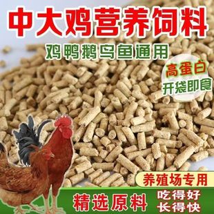 �u������l�д��w���u������µ��u���uͨ�ÿ羳����վ�S��