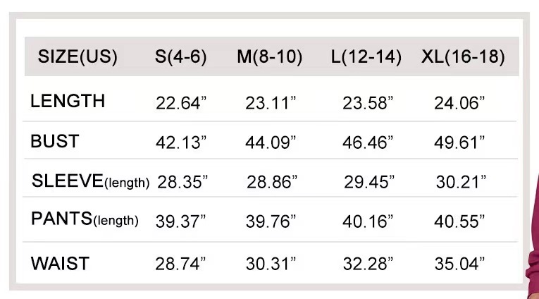 ActiveGo 2024 Autunno Inverno Moda Casual Sportivo Tuta Cerniera Manica Lunga Felpa Pantaloni Gamba Larga Set Due Pezzi per Donna_voghion.com